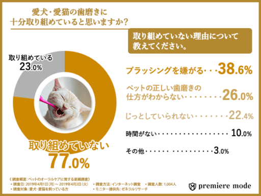 愛犬・愛猫の歯磨きに十分に取り組めていると思いますか？取り組めていない理由について教えてください