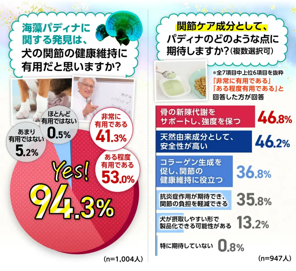 海藻パディナに関する発見は、犬の関節の健康維持に有用だと思いますか？