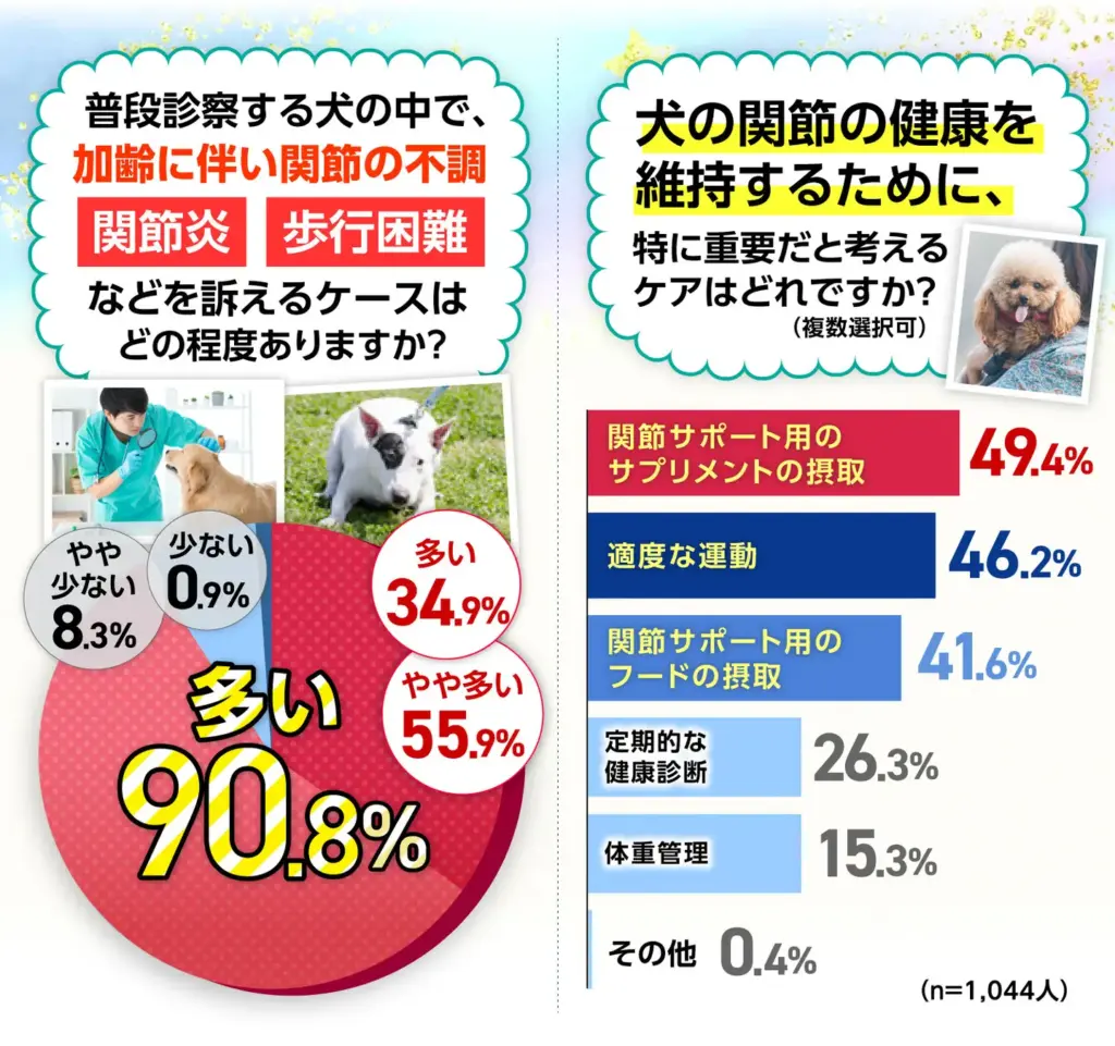 普段診察する犬の中で、加齢に伴い関節の不調（関節炎、歩行困難など）を訴えるケースはどの程度ありますか？