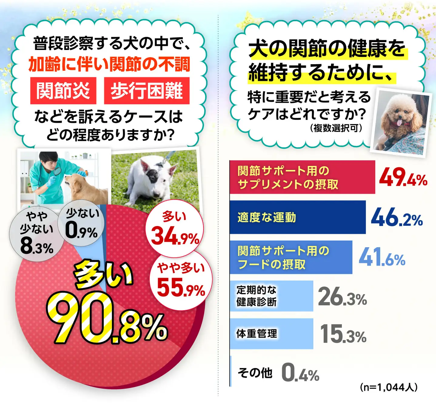 9割以上の獣医師が早期の骨活で犬の健康寿命延長を支持！犬の関節ケアには「サプリメント摂取」と「適度な運動」が重要