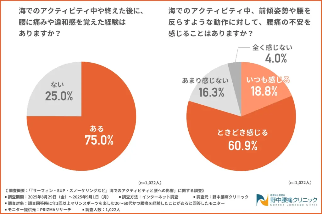 海でのアクティビティ中や終えた後に、腰に痛みや違和感を覚えた経験はあるか